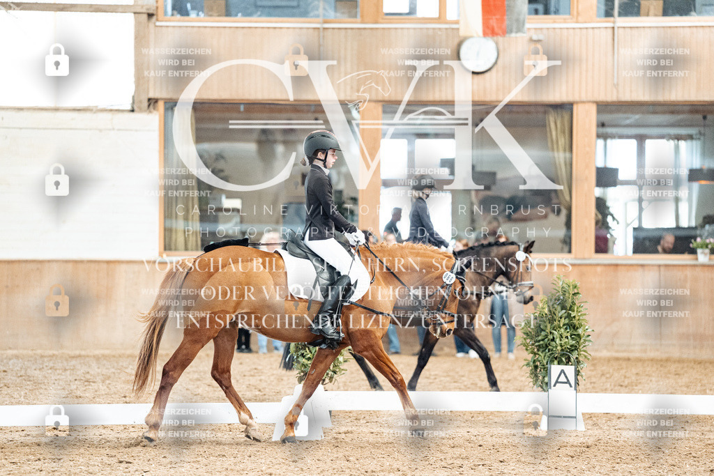 CK900185 | Turnierfotografie Pferdefotografie Trier Rheinland-Pfalz Pferdesport Reitsport Tierfotografie Sportfotografie Pferdevideo Pferdevideografie Equestrianvideography equestrianphotography  - Realized with Pictrs.com