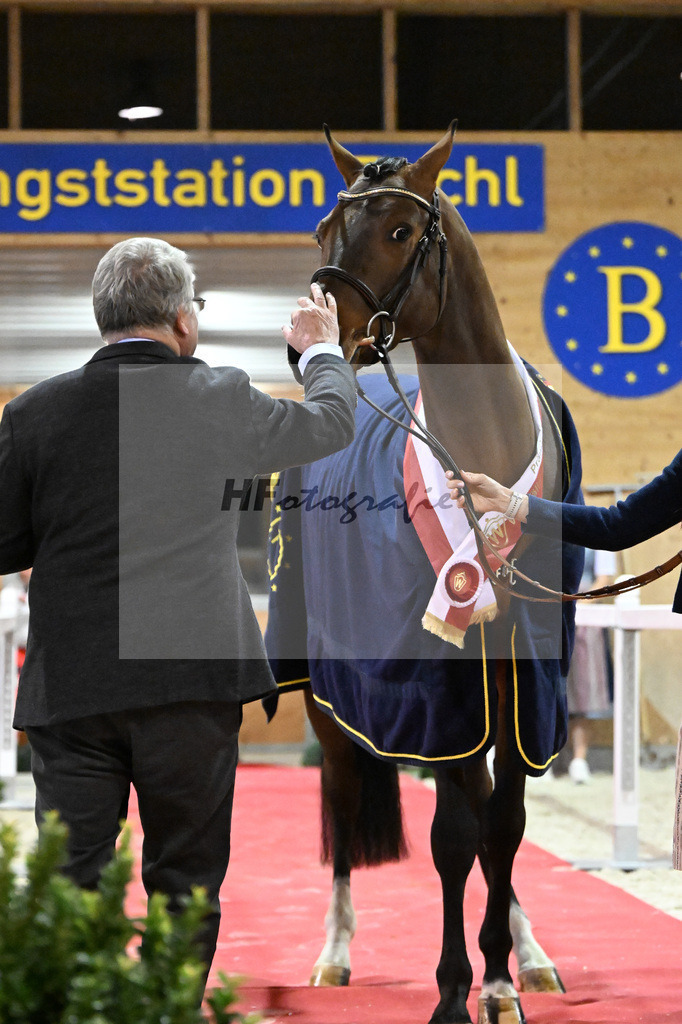 Early Star B_5251058 | hf-fotografie - Realisiert mit Pictrs.com