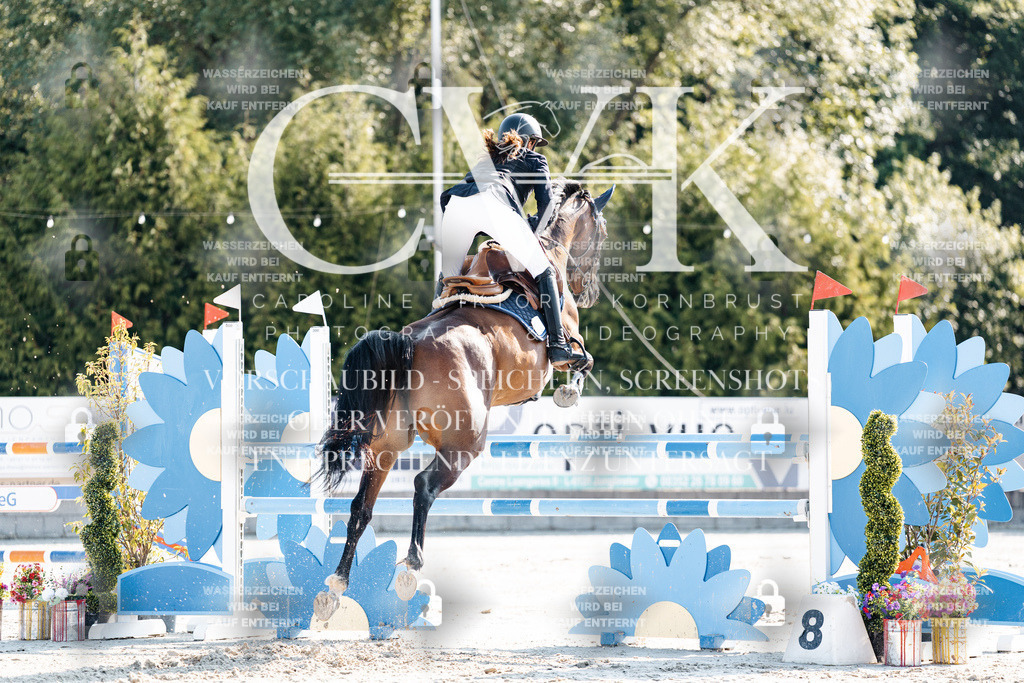 CK901813 | Turnierfotografie Pferdefotografie Trier Rheinland-Pfalz Pferdesport Reitsport Tierfotografie Sportfotografie Pferdevideo Pferdevideografie Equestrianvideography equestrianphotography  - Realisiert mit Pictrs.com