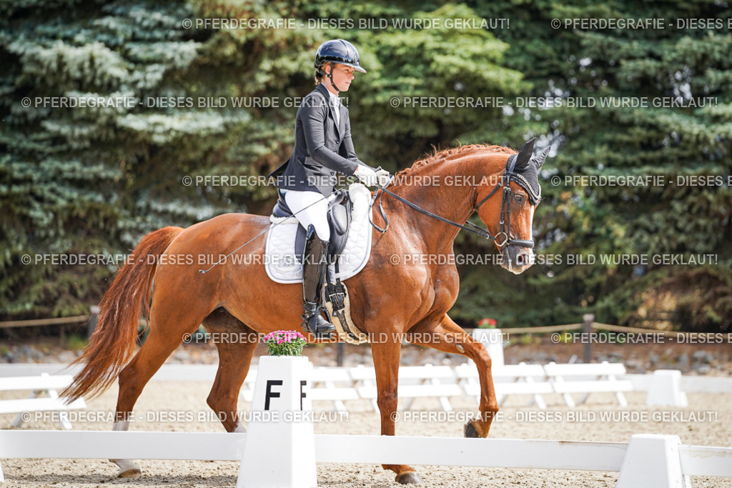 DSC00041 | Pferdegrafie