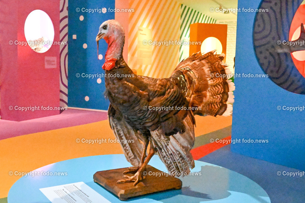 OK Linz_ Ausstellung Queer Vielfalt ist unsere Natur_ 22.06.2023-3 | 22.06.2023, OK Platz, AUT, OK, Offenes Kulturhaus Oberoesterreich, im Bild Ausstellung Queer Vielfalt ist unsere Natur, Pute