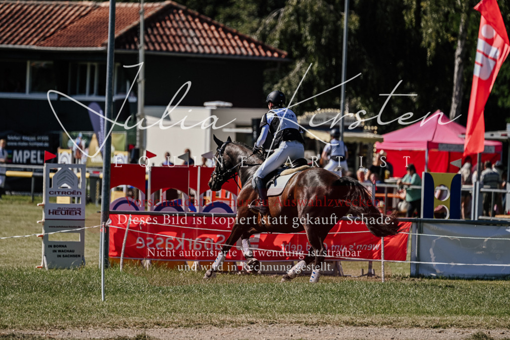 DSC_1446 | Pferde- und Turnierfotografie in Westsachsen. Pferdeportraits, Auftragszeichnungen und intuitive Kunst.