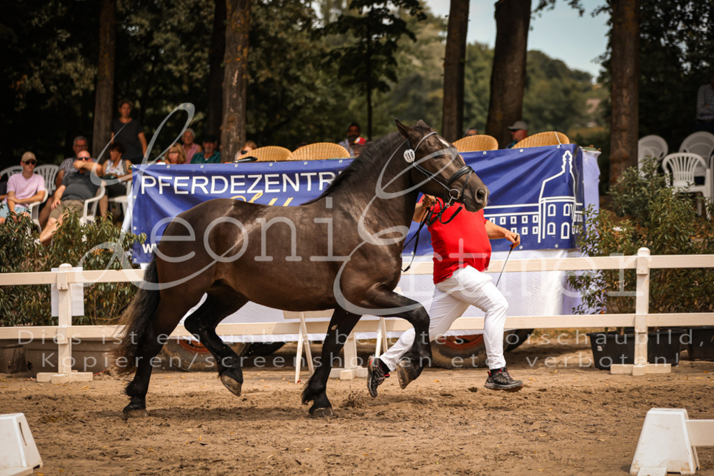 4.Sa00054 | Leoni Ertmer Photography - Realisiert mit Pictrs.com