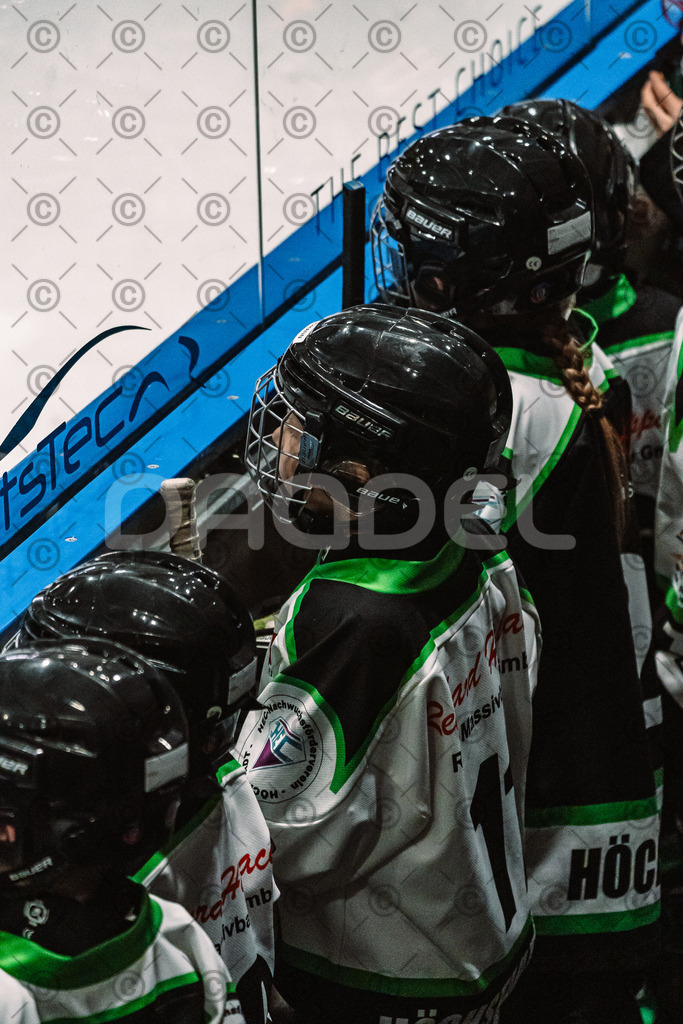 Alligators_vs_Erding_12_12_2025-065 | Höchstadt Alligators Fotogalerie: Eishockey-Action aus Franken. Professionelle Spielfotos, Portraits & Stadionbilder zum Download. Jetzt entdecken! - Realisiert mit Pictrs.com