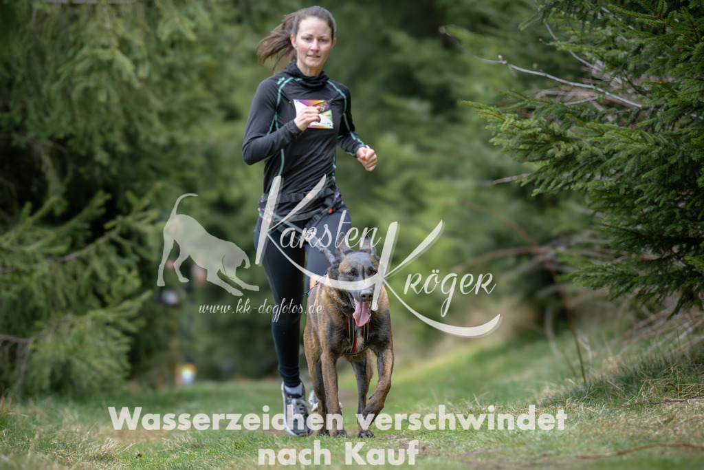 1304_ZZ93463 | kk-dogfotos