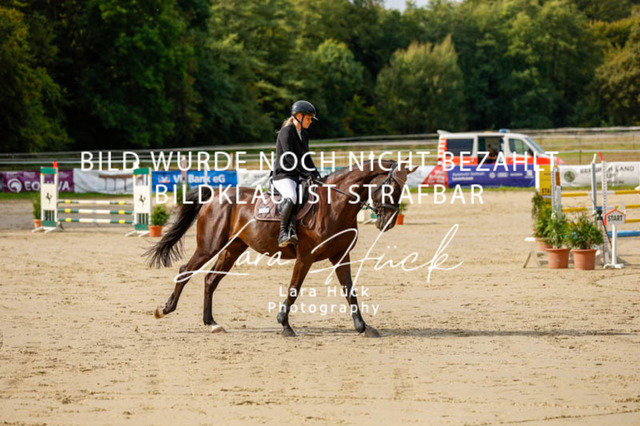 _62_9100 | larahueckfotografie