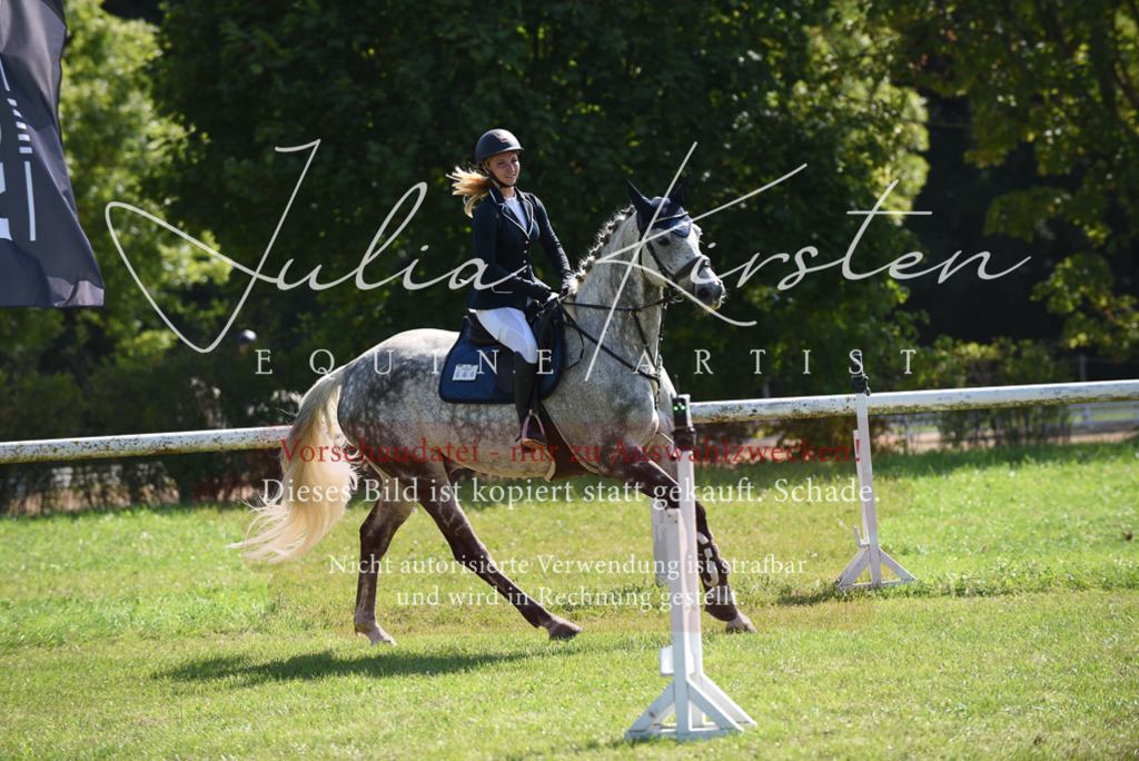 DSC_9126 | Pferde- und Turnierfotografie in Westsachsen. Pferdeportraits, Auftragszeichnungen und intuitive Kunst.