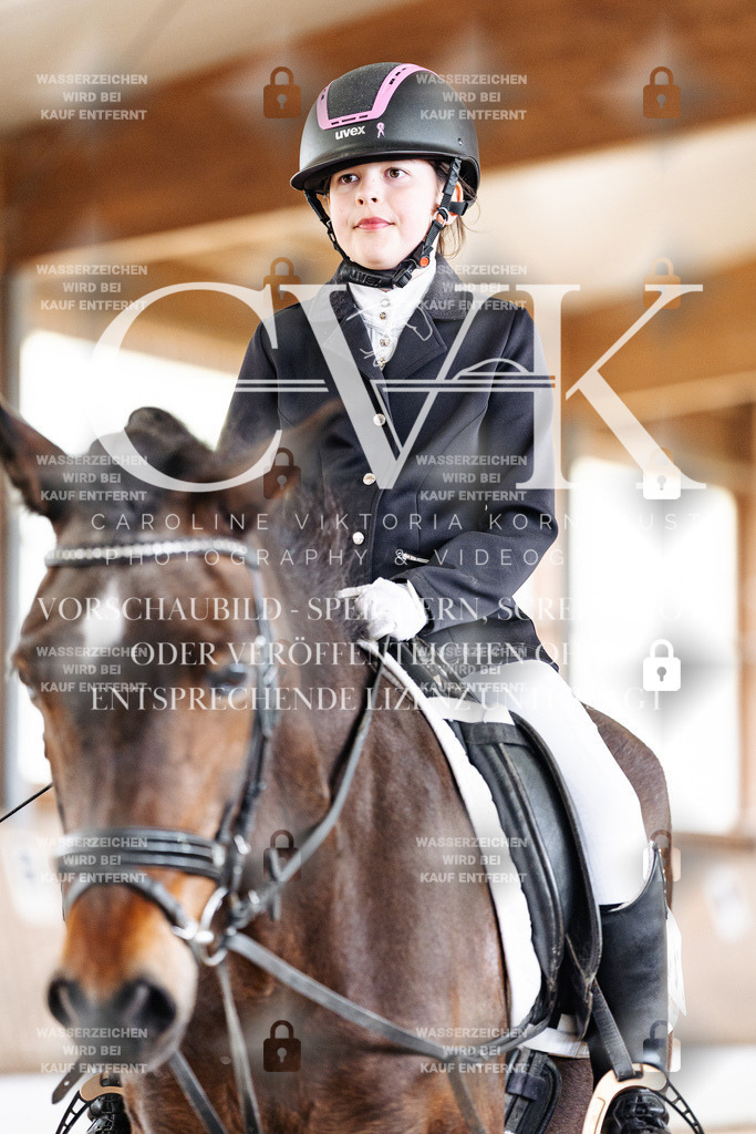 CK901360 | Turnierfotografie Pferdefotografie Trier Rheinland-Pfalz Pferdesport Reitsport Tierfotografie Sportfotografie Pferdevideo Pferdevideografie Equestrianvideography equestrianphotography  - Realisiert mit Pictrs.com
