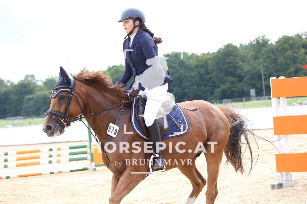 DL2Q3401 | Willkommen bei Brunnmayr - Design & Fotografie – Ihrem Spezialisten für Reitturniere und Pferdeveranstaltungen in Oberösterreich, Salzburg und Bayern! Seit über 17 Jahren sind wir leidenschaftlich dabei.