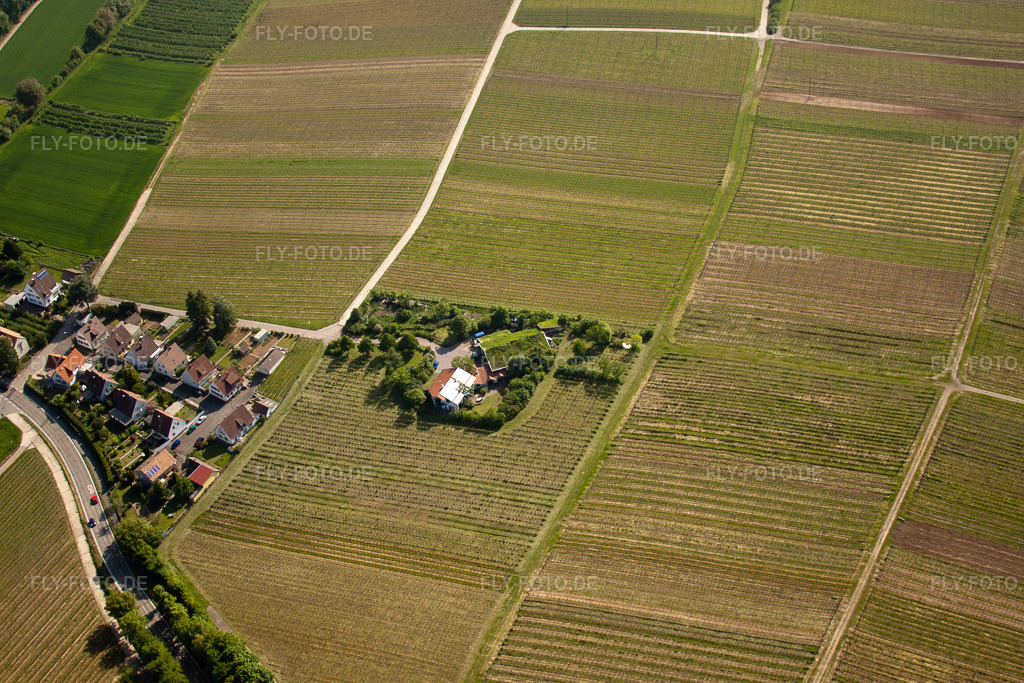Luftbild: Bioland Weingut Marzolph im Ortsteil Wollmesheim in Landau im Bundesland Rheinland-Pfalz in Deutschland. Foto: IMG_27242.jpg vom 23.05.2010 durch Werner Riehm/FLY-FOTO.de