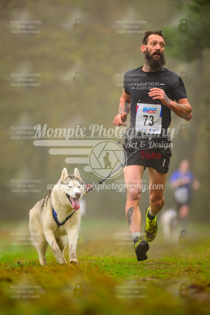 MompixPhotography_Bischwiller2025_Canicross-55 | mompixphotography