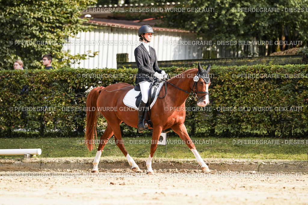 DSC05946 | Pferdegrafie