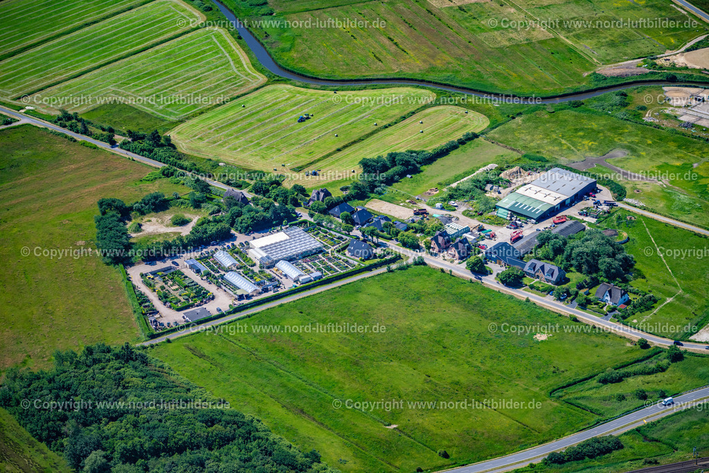 Sylt_Keitum_Gartencenter_Harms_ELS_0088210625 | KEITUM 21.06.2025 Gartencenter - Zentrum für Gartenbedarf " Harms " in Keitum auf der Insel Sylt im Bundesland Schleswig-Holstein, Deutschland. Weiterführende Informationen bei: Gartencenter Harms. // Garden center - center for gardening supplies " Harms " in Keitum at the island Sylt in the state Schleswig-Holstein, Germany. Further information at: Gartencenter Harms. Foto: Martin Elsen
