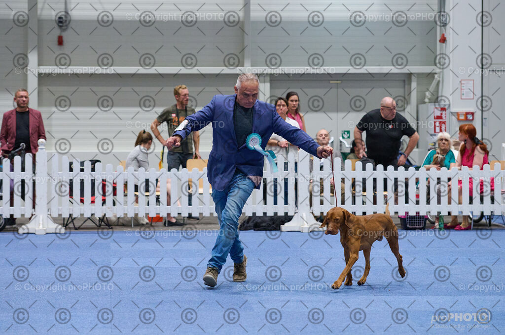 202406_ÖKV-IHA-Tulln24_DSC_3122 | proPHOTO - Realisiert mit Pictrs.com