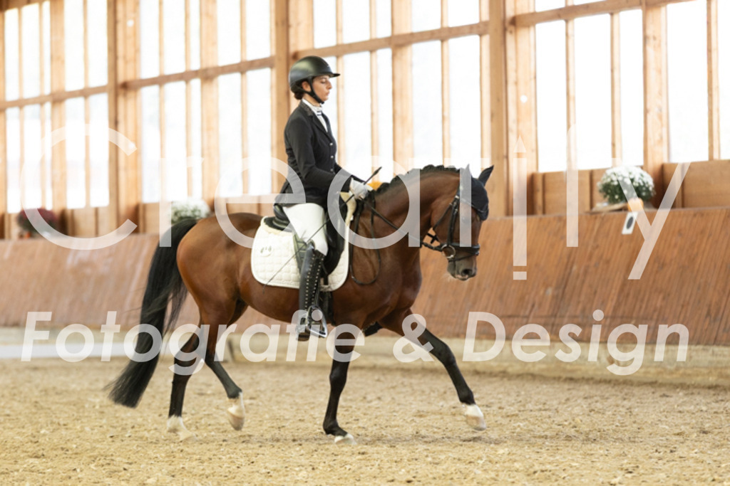 IMG_6038 | Creatify Fotografie