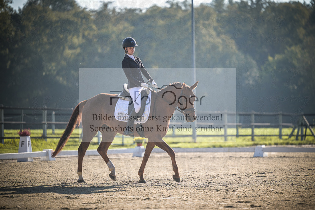 DOS_0837 | Entdecke hochwertige Reitturnierfotos von Foto Oger. Professionell, emotional und authentisch – jetzt Lieblingsmomente im Shop bestellen.Deutschlandweite Turnierfotografie. - Realisiert mit Pictrs.com