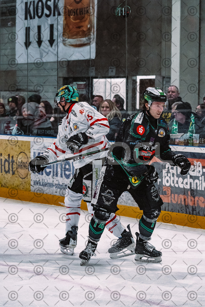 Alligators_vs_Toelz_15_02_2026-14 | Höchstadt Alligators Fotogalerie: Eishockey-Action aus Franken. Professionelle Spielfotos, Portraits & Stadionbilder zum Download. Jetzt entdecken! - Realisiert mit Pictrs.com
