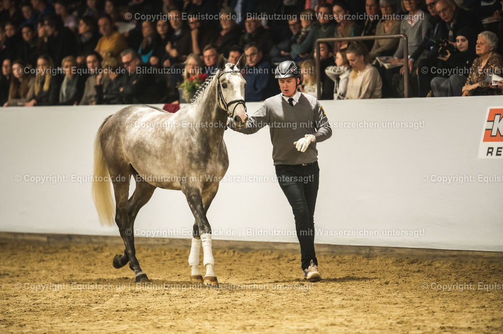 20240302_Hengstvorstellung_Marbach_TOMsPiC_0975-2 | equistock