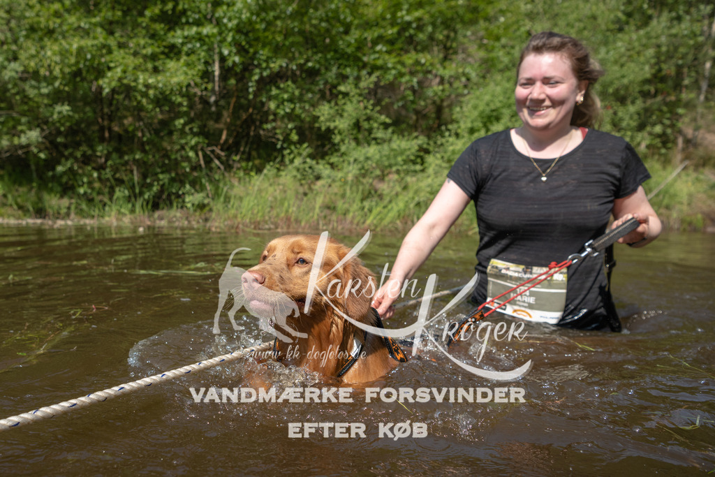 1035DKK991035 | kk-dogfotos