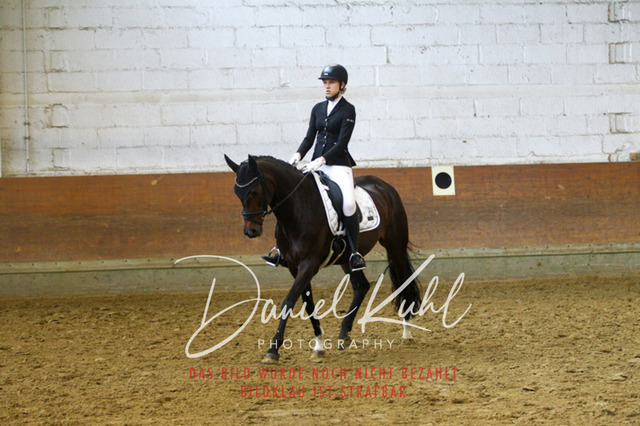 DKP43544 | Turniersportfotografie; Pferdefotografie; Dressurfotografie