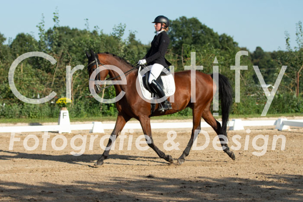 IMG_0962 | Creatify Fotografie