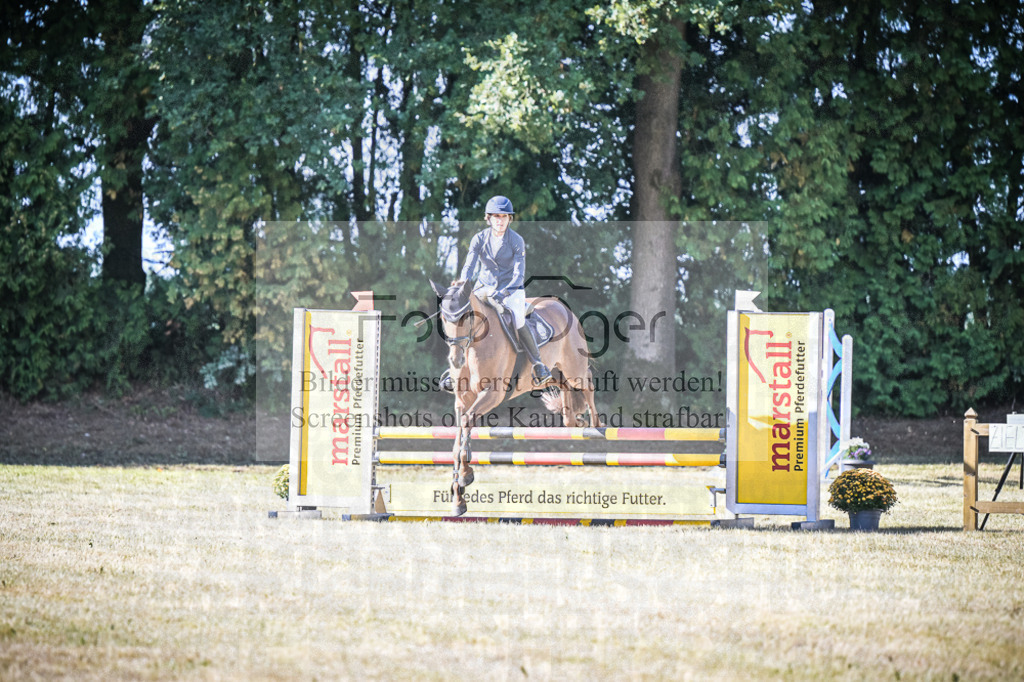 DOS_0260 | Entdecke hochwertige Reitturnierfotos von Foto Oger. Professionell, emotional und authentisch – jetzt Lieblingsmomente im Shop bestellen.Deutschlandweite Turnierfotografie. - Realisiert mit Pictrs.com