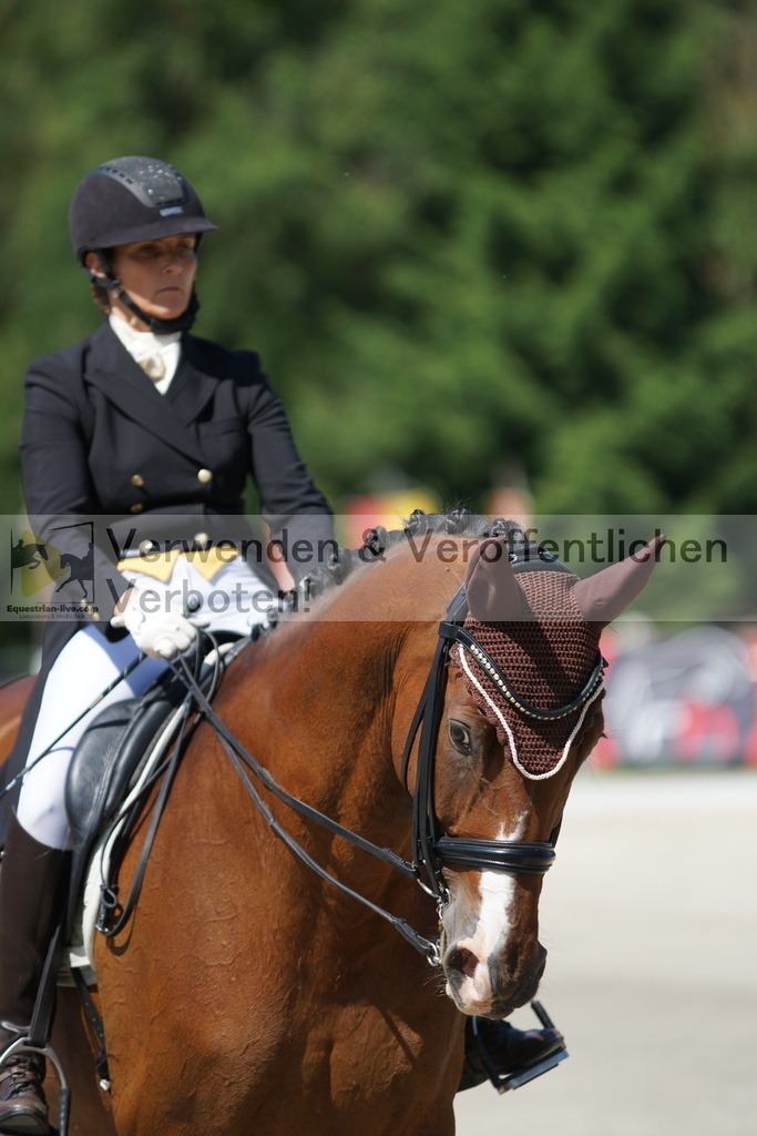 DSC03068 | equestrian-live-com