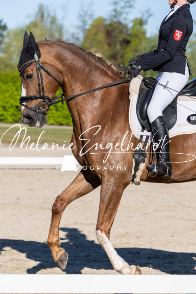 7I8A8596 | melanie-engelhardt-photography - Realisiert mit Pictrs.com