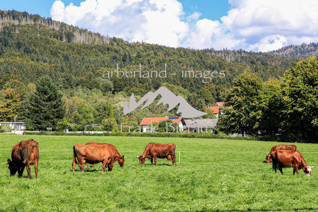 OE7A7882 | Medien- Sport- Entertainmentfotos