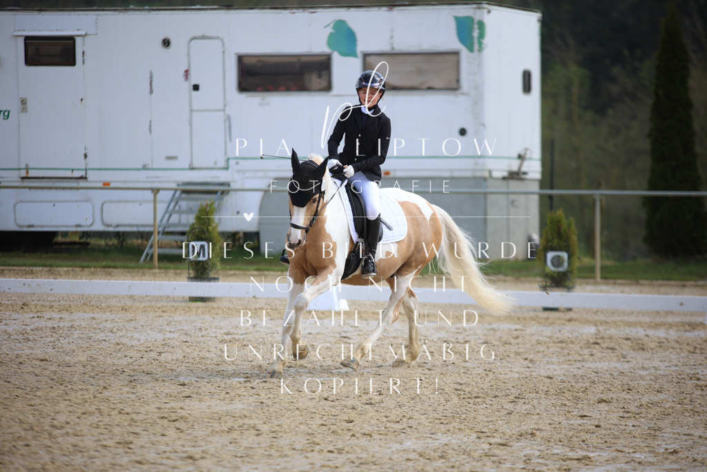 IMGT4265 | pl-fotografie