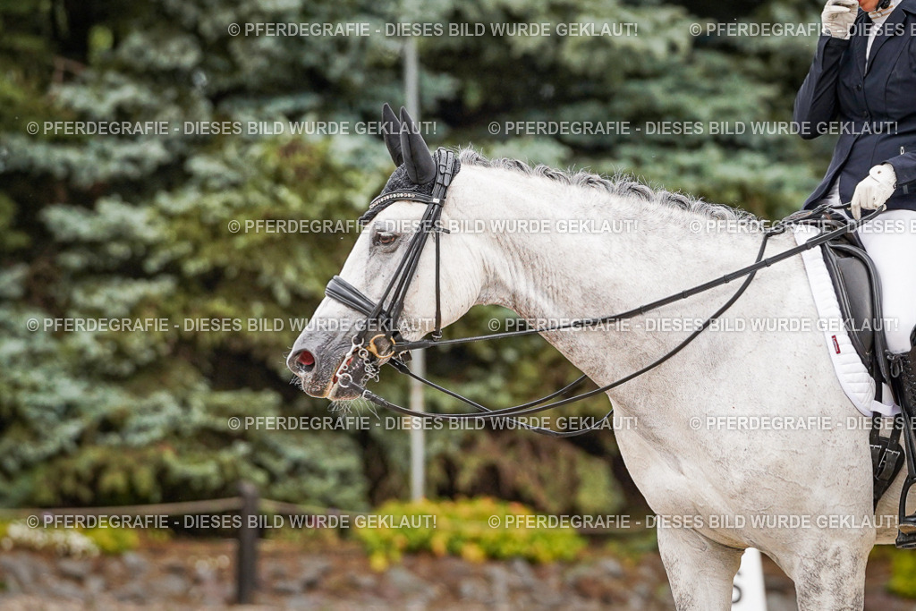 DSC07840 | Pferdegrafie