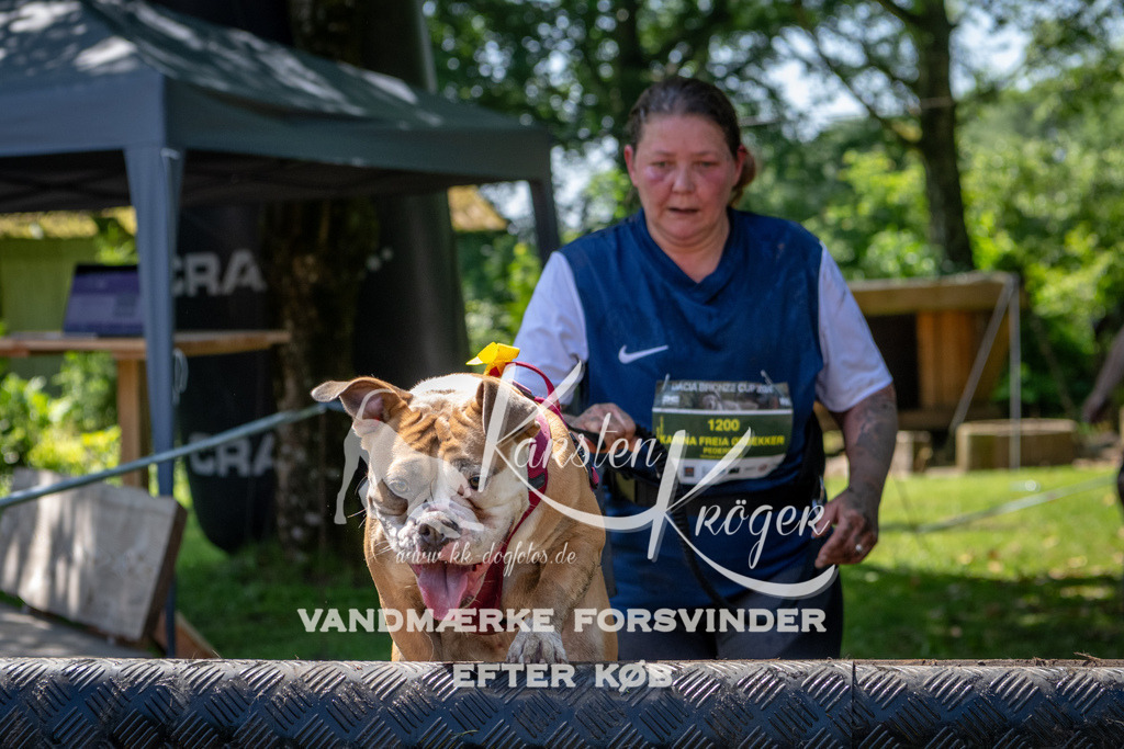 1249_ZZ92536 | kk-dogfotos