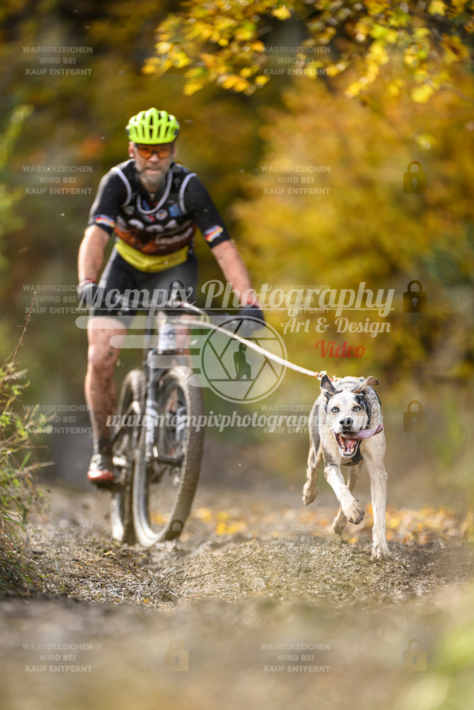 MompixPhotography_ICF_WC_2024_SA_Bike_-322 | PayLife