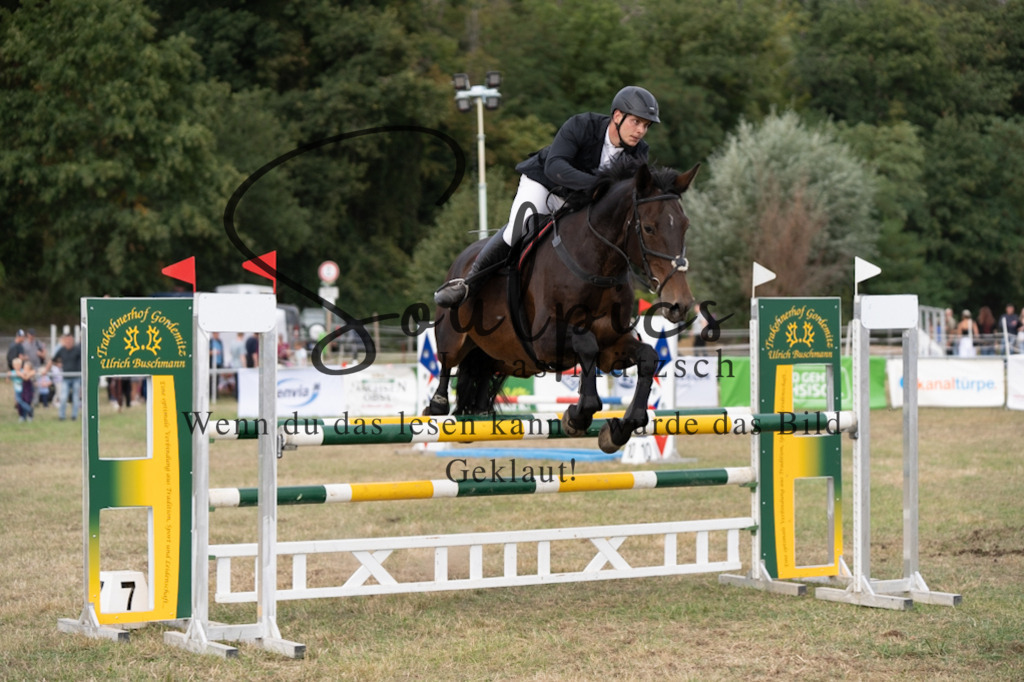 A7V09727 | Pferdefotograf