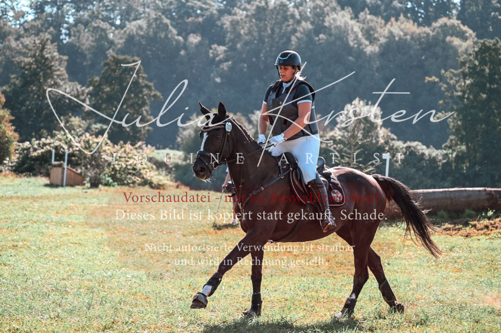 DSC_0578 | Pferde- und Turnierfotografie in Westsachsen. Pferdeportraits, Auftragszeichnungen und intuitive Kunst.