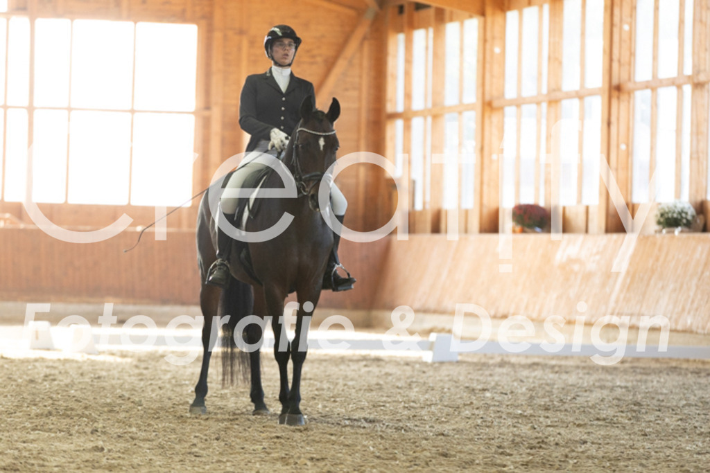 IMG_3738 | Creatify Fotografie