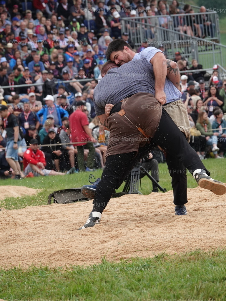 DSC04855 | Schwingen - Realisiert mit Pictrs.com