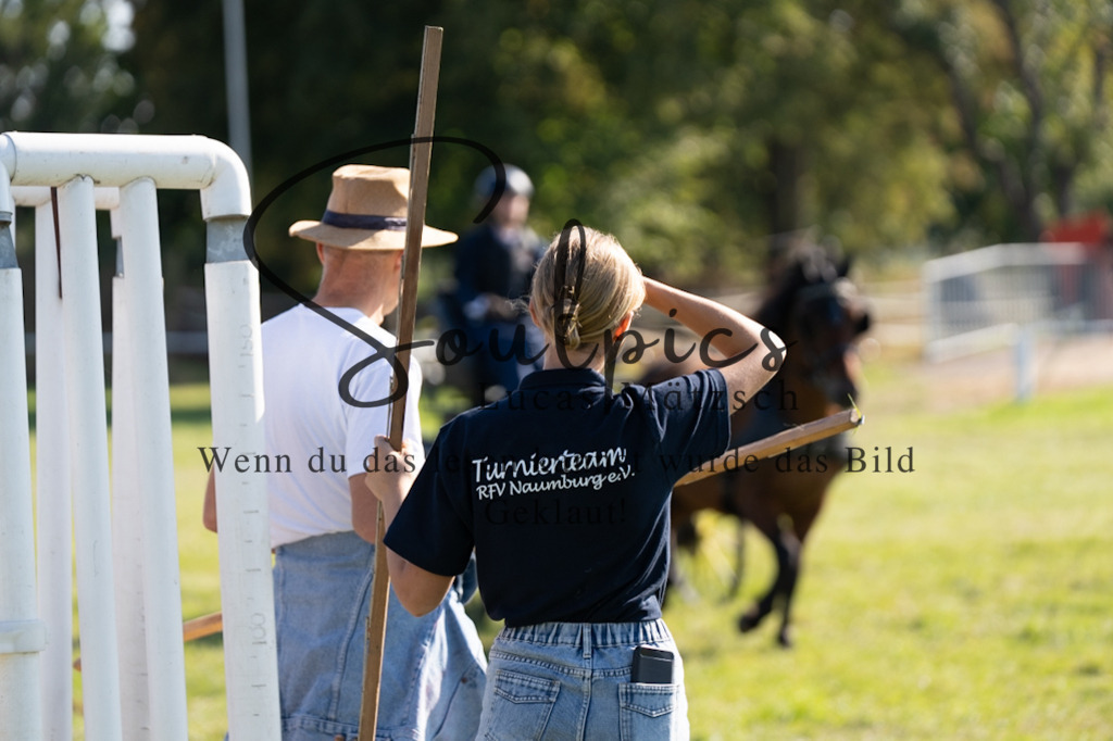 A7V04398 | Pferdefotograf