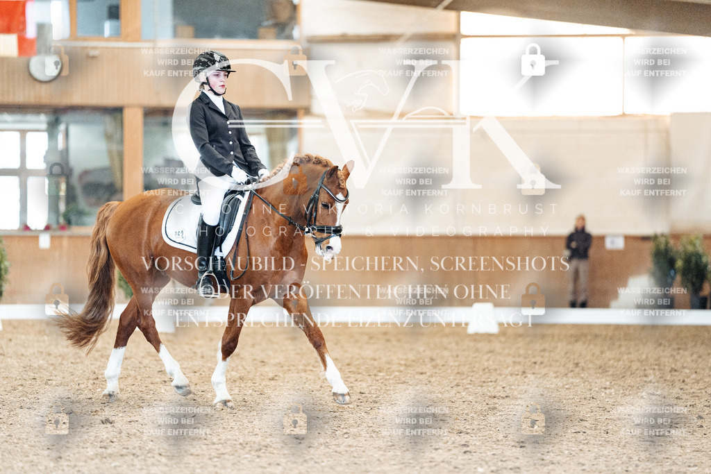CK908893 | Turnierfotografie Pferdefotografie Trier Rheinland-Pfalz Pferdesport Reitsport Tierfotografie Sportfotografie Pferdevideo Pferdevideografie Equestrianvideography equestrianphotography  - Realisiert mit Pictrs.com