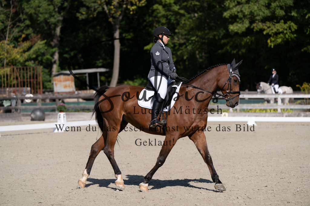 A7V07007 | Pferdefotograf