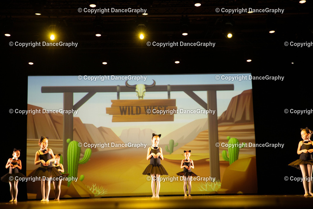 GPHY4231 | DanceGraphy - Realisiert mit Pictrs.com