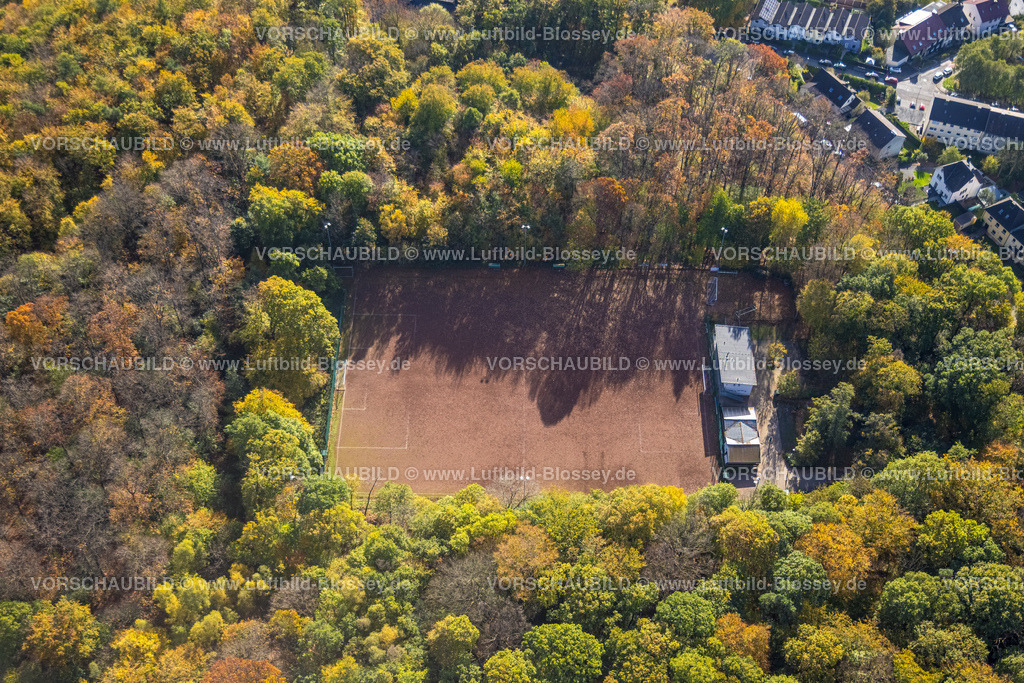 Hagen221015540 | Luftbild, Sportplatz, Freiheitsplatz, SG Blau-Weiss Haspe 1968, Herbstwald, Haspe-West, Hagen, Ruhrgebiet, Nordrhein-Westfalen, Deutschland