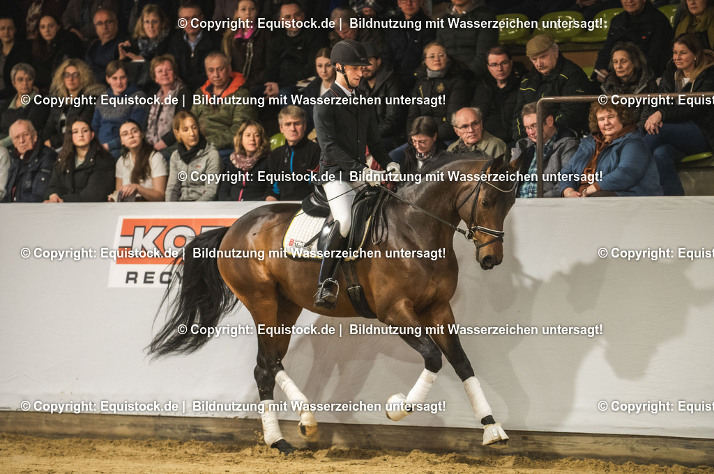 20240302_Hengstvorstellung_Marbach_TOMsPiC_0132-2 | equistock