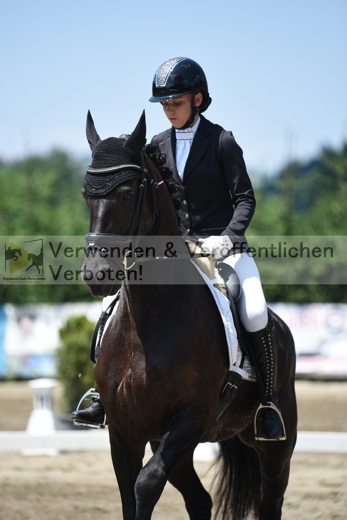 DSC_0527 | equestrian-live-com