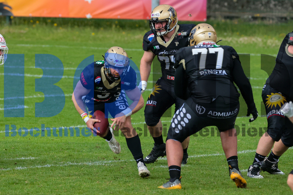 GFL: Paderborn Dolphins vs. New Yorker Lions{date} -  | {headline}(Foto: Sebastian Sendlak / BOND) - Realisiert mit Pictrs.com