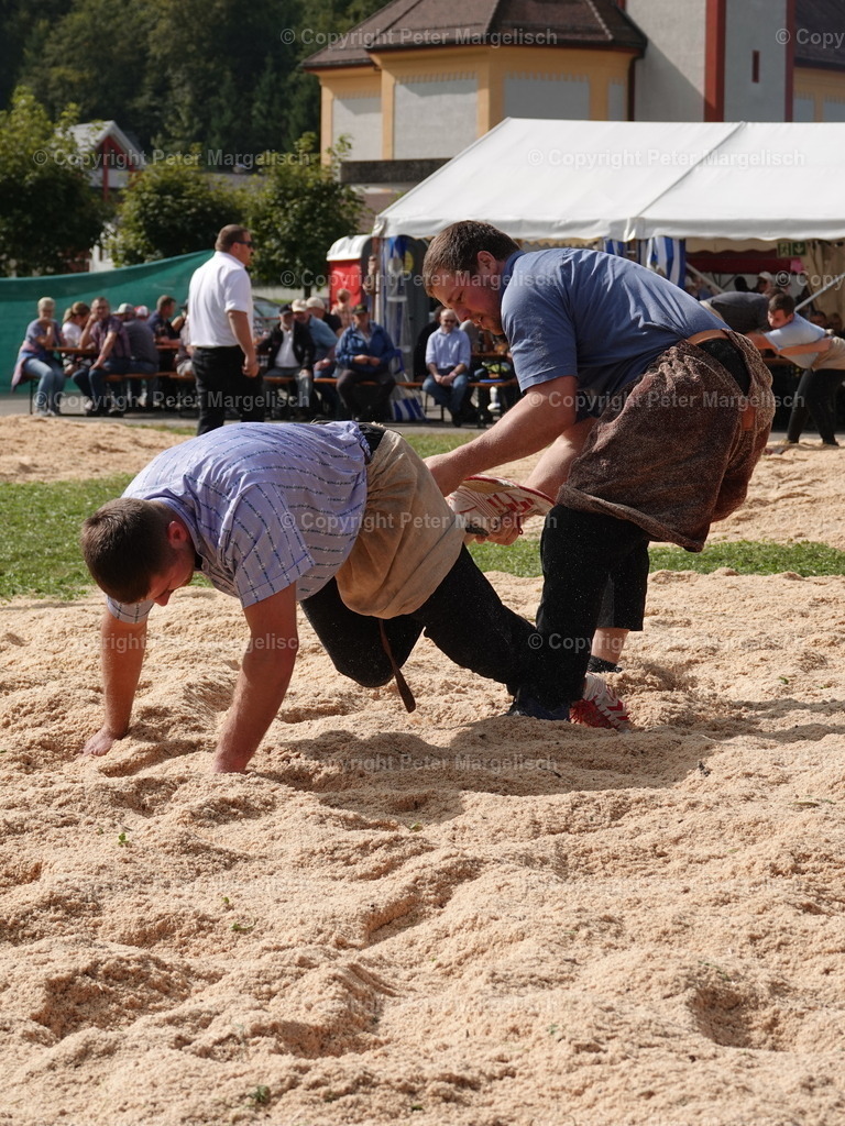 DSC05745 | Schwingen - Realisiert mit Pictrs.com