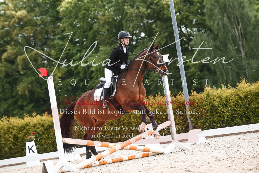 20230518_JK-Röhrsdorf-10-197 | Pferde- und Turnierfotografie in Westsachsen. Pferdeportraits, Auftragszeichnungen und intuitive Kunst.