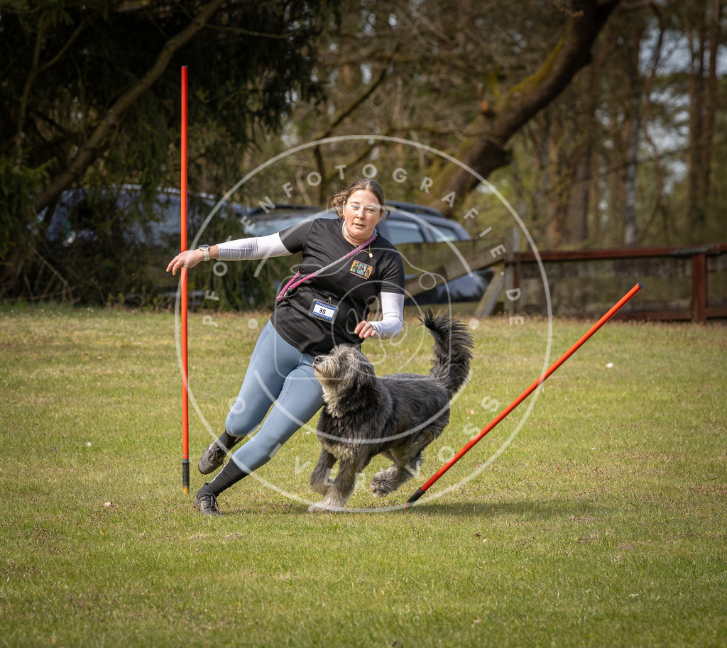 Pfotenfotografie_DV3A7349 | Hundefotografie, Tierfotograf, Pfotenfotografie, Fotoshooting Hund, Hunde Portrait, Hundesport, Hundeportraits, Heideshooting, Hunde, Sportfotograf, Hundefotograf, Turnierhundsport, THS,  - Realisiert mit Pictrs.com