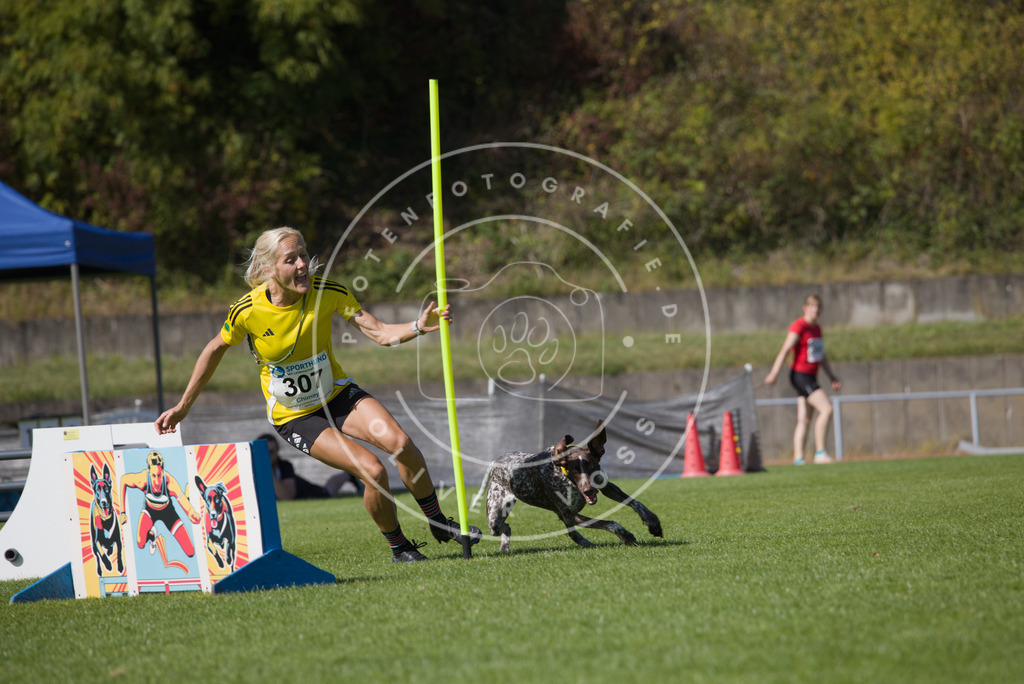 0L8A7801 | Hundefotografie, Tierfotograf, Pfotenfotografie, Fotoshooting Hund, Hunde Portrait, Hundesport, Hundeportraits, Heideshooting, Hunde, Sportfotograf, Hundefotograf, Turnierhundsport, THS,  - Realisiert mit Pictrs.com