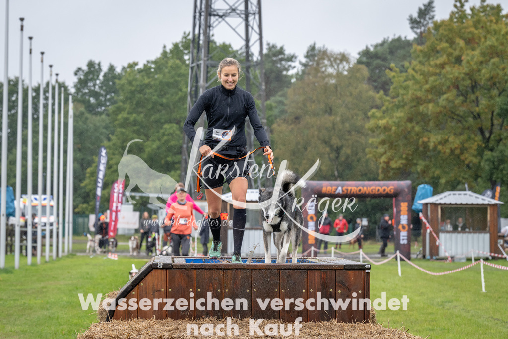 1331-93782 | kk-dogfotos